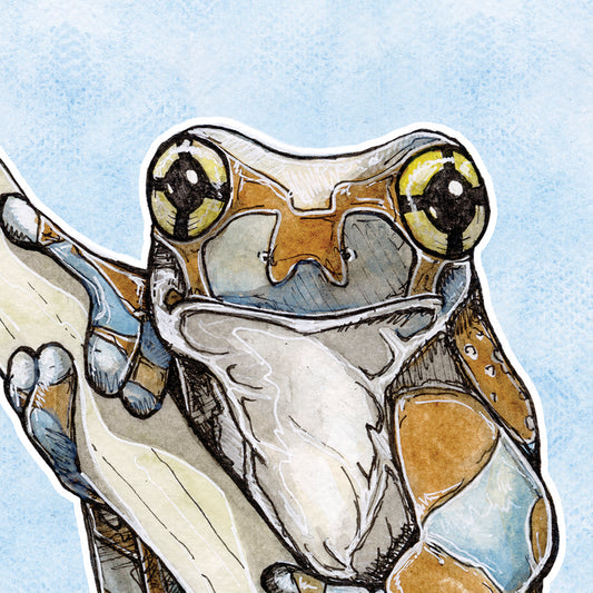 Milk Frog
