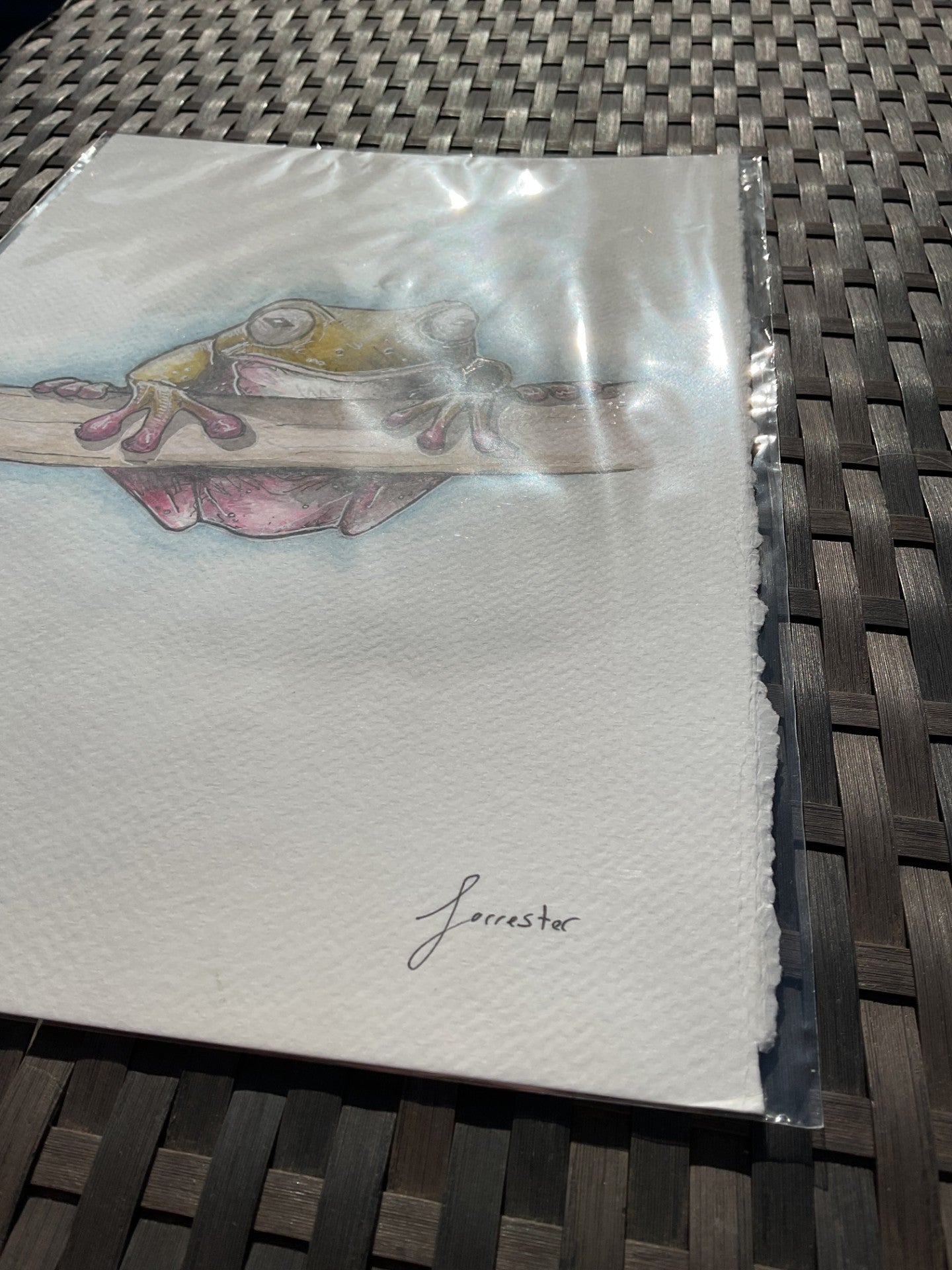 green tree frog (original) UK only.