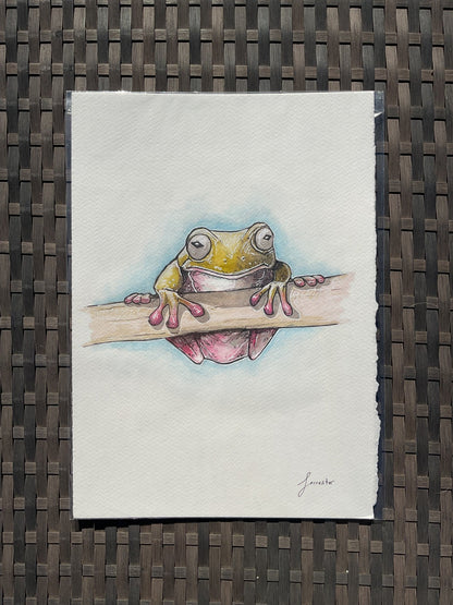 green tree frog (original) UK only.