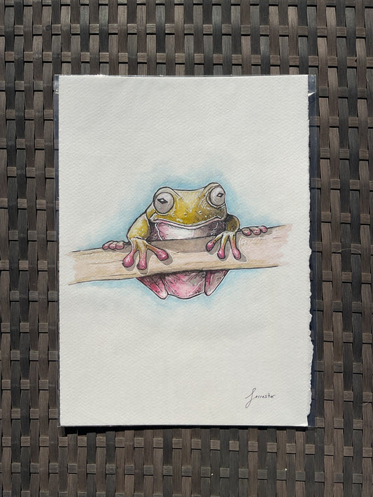 green tree frog (original) UK only.