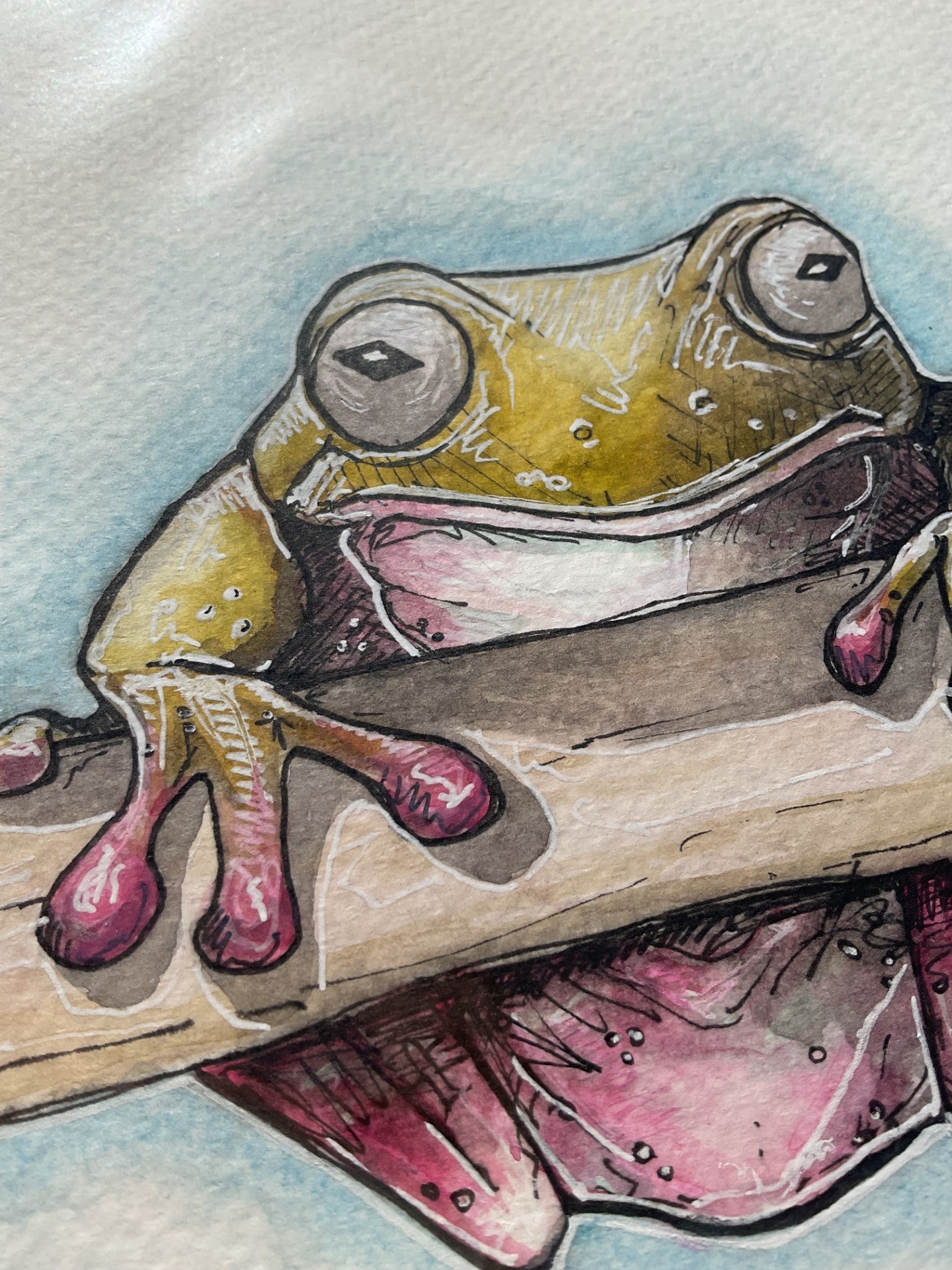 green tree frog (original) UK only.