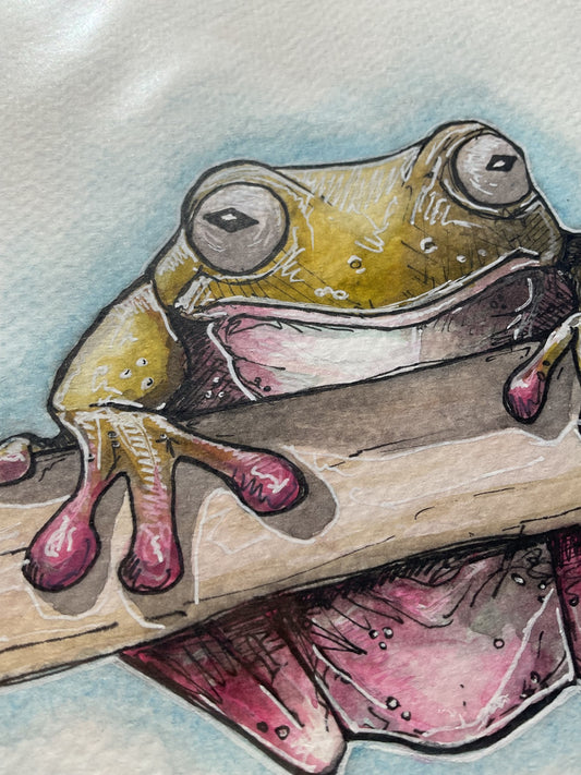 green tree frog (original) UK only.