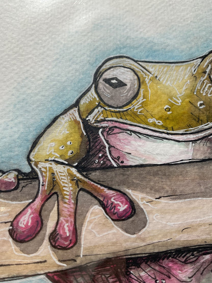 green tree frog (original) UK only.