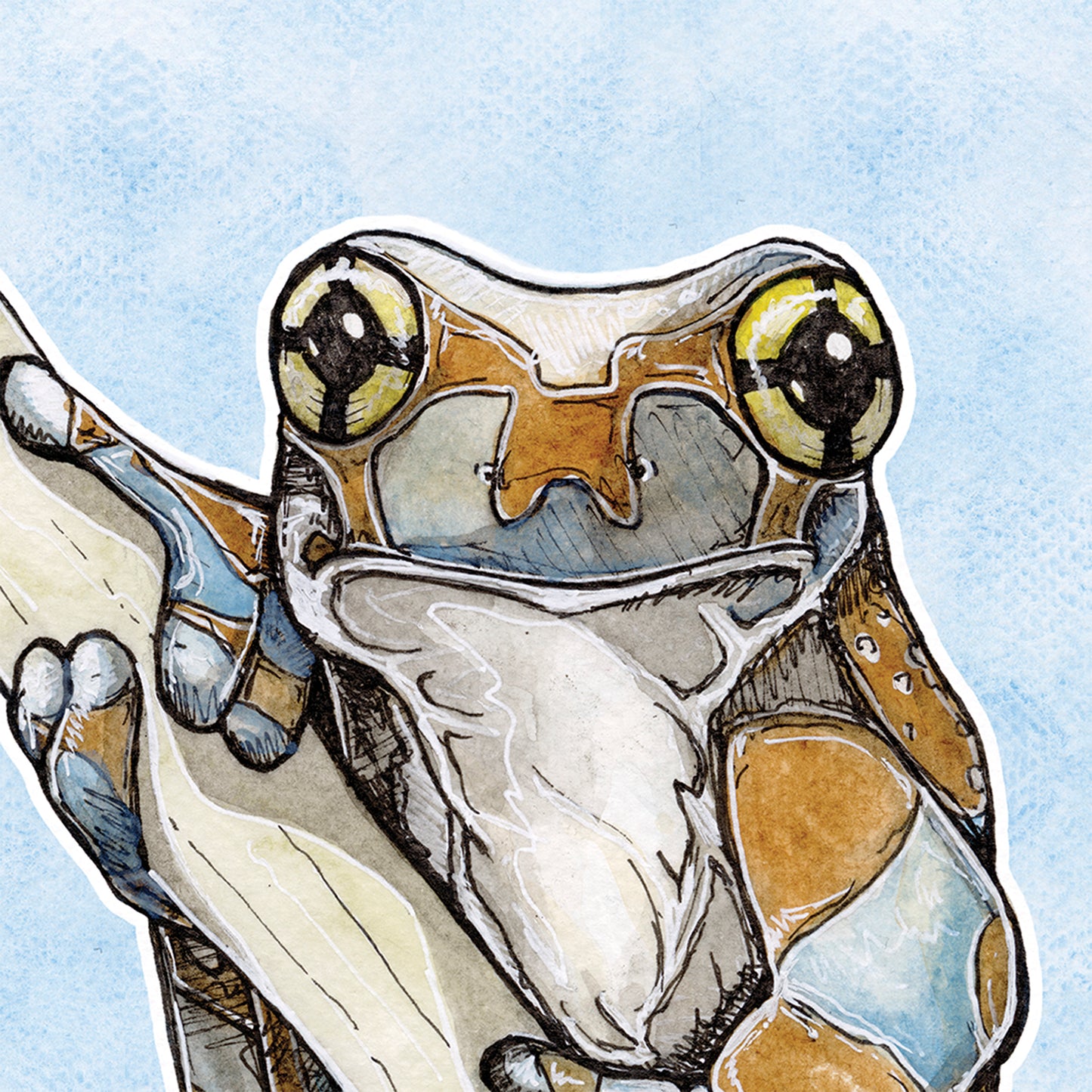 Milk Frog
